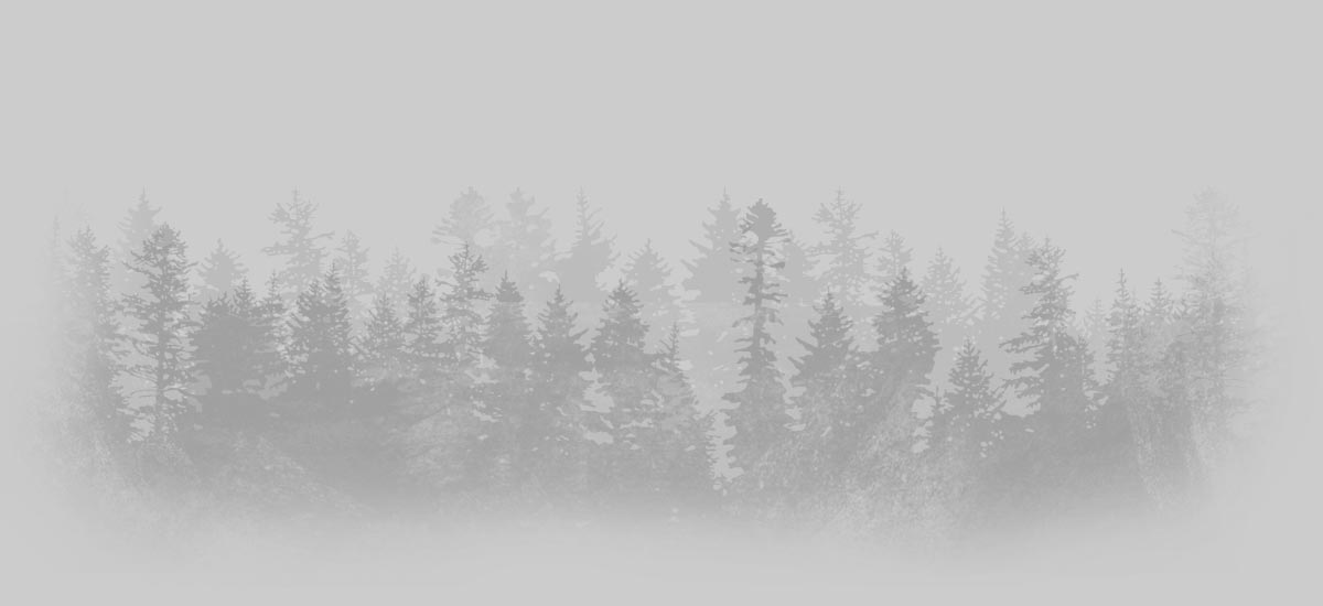 Forest for the trees